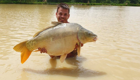 A carp from Maniere, Nov 2023
