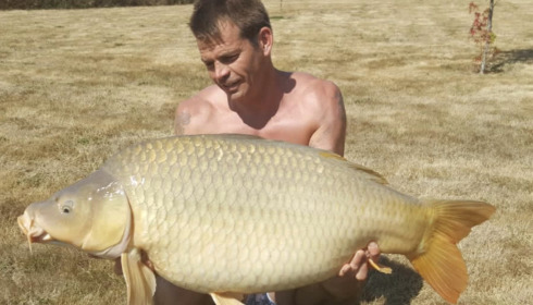 A carp from Maniere, Nov 2023