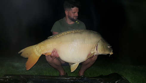 A carp from Maniere, Nov 2023