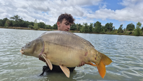 A carp from Maniere, Jul 2025