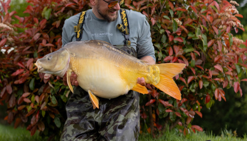 A carp from Maniere, Apr 2024