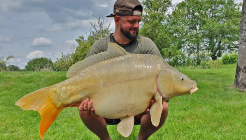 A carp from Maniere, Nov 2023