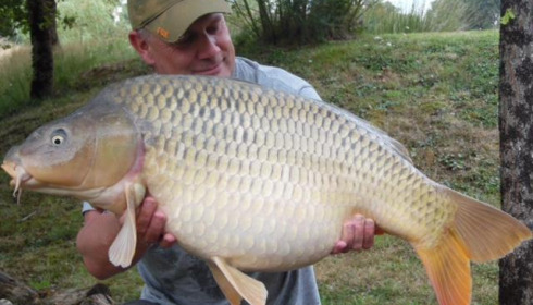 A carp from Maniere, Nov 2023