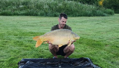 A carp from Maniere, Nov 2023