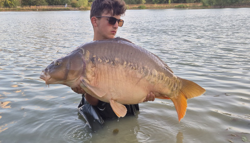 A carp from Maniere, Jul 2025