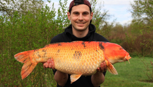 A carp from Maniere, James, Apr 2024