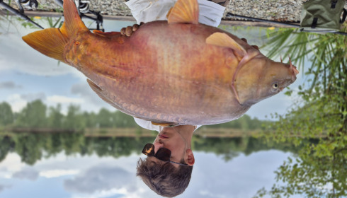 A carp from Maniere, Jul 2025
