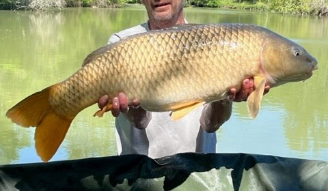 A carp from Mas Bas Lotus Lake, New Stock, Mar 2023