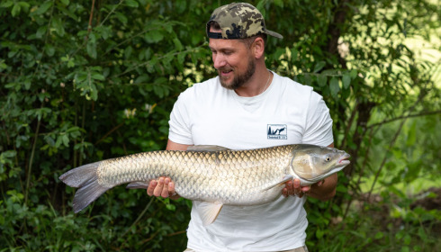 A grass carp from Mas Bas Lotus Lake, Jun 2024