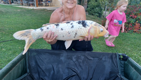 A 20 lb 12 oz fish from Mas Bas Main Lake, Koi carp, Oct 2023