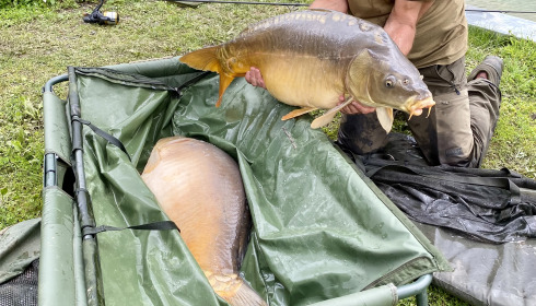 A carp from Mas Bas Main Lake, Matthew Fox, May 2024