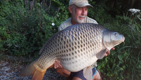 A carp from MDP Lake, Feb 2025