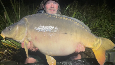 A carp from MDP Lake, Oct 2024