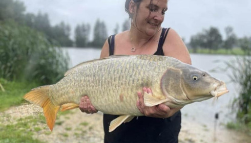A carp from Mystique, Jul 2023