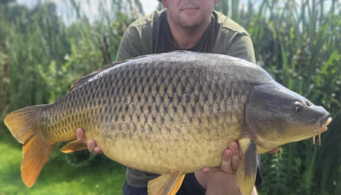 A carp from Mystique, Aug 2023