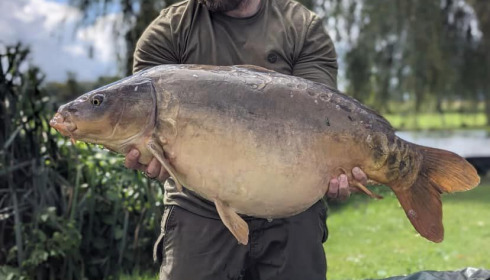 A 31 lb 7 oz fish from Mystique, Sep 2023