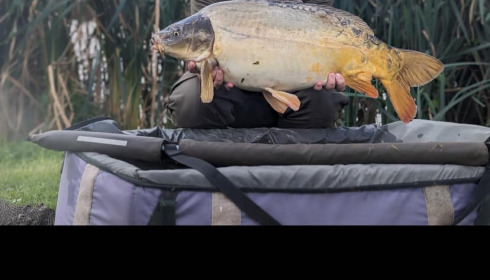 A 20 lb 8 oz fish from Mystique, Sep 2023