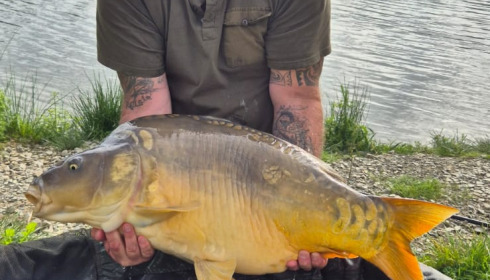 A fish from Mystique, Sep 2024