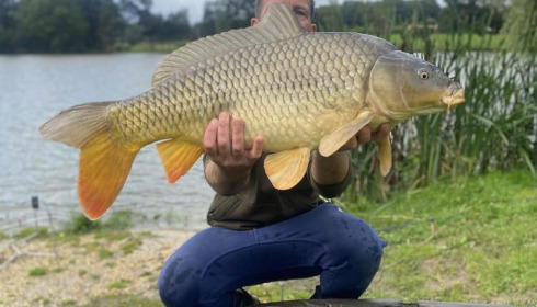 A carp from Mystique, Jul 2023