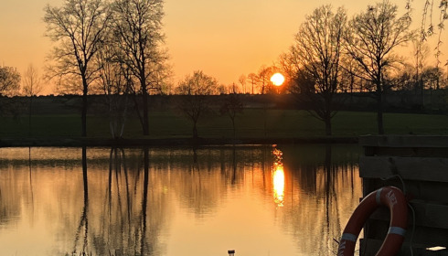 A fish from Mystique, Apr 2023