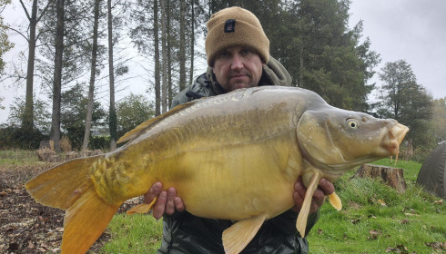 A carp from Mystique, Nov 2025