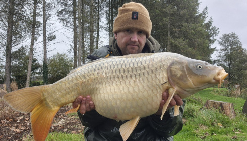 A carp from Mystique, Nov 2025