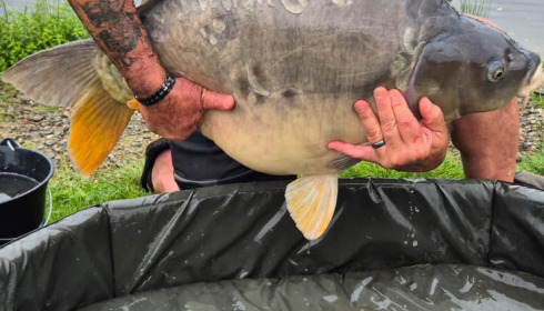 A fish from Mystique, Sep 2024