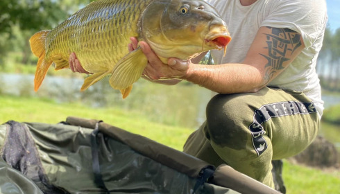 A carp from Mystique, Aug 2023