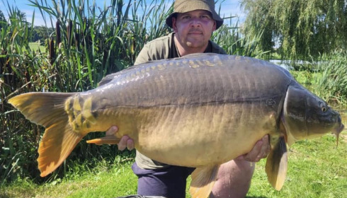 A carp from Mystique, Aug 2023