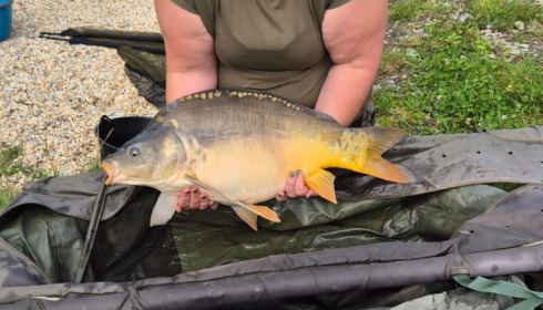 A fish from Mystique, Sep 2024
