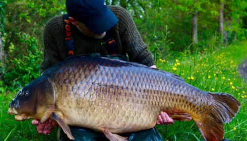 A 81 lb 4 oz fish from Old Oaks, Long Common PB, Apr 2024