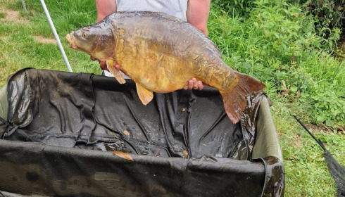 A 44 lb fish from Old Oaks, Jul 2024