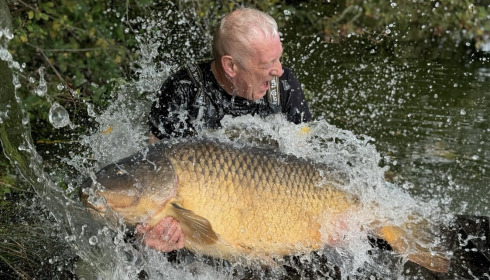 A 77 lb 12 oz fish from Old Oaks, Garry barker long common, Oct 2024