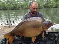 A 37 lb 7 oz carp from Old Oaks, Tom Swain, Apr 2014