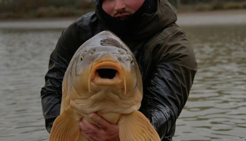 A carp from Ragon, Netting, Jan 2024