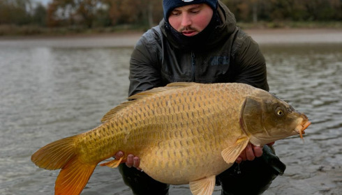 A carp from Ragon, Annual Netting, Jan 2024
