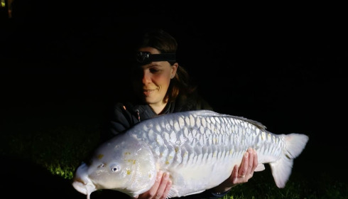 A carp from Ragon, Apr 2023