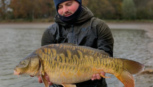 A carp from Ragon, Annual Netting, Jan 2024