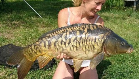 A carp from Ragon, Jun 2023