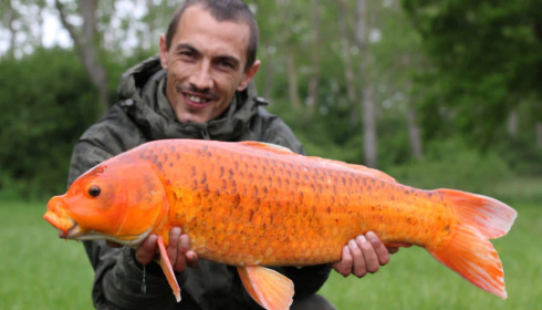 A carp from Ragon, May 2025