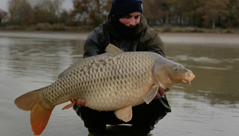A carp from Ragon, Netting, Jan 2024