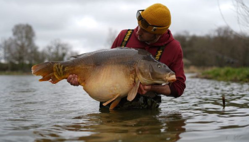 A carp from Ragon, Apr 2024