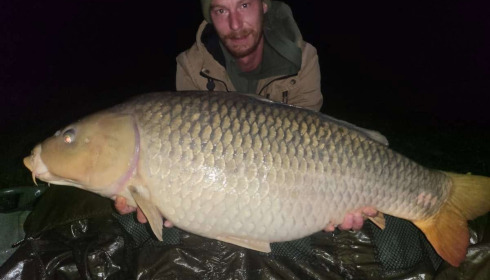 A carp from Ragon, Oct 2025