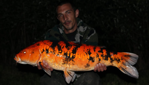 A carp from Ragon, May 2025