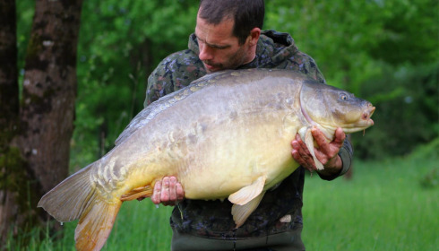 A carp from Ragon, May 2025