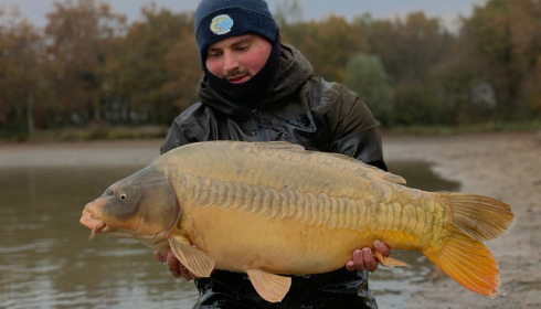A carp from Ragon, Annual Netting, Jan 2024