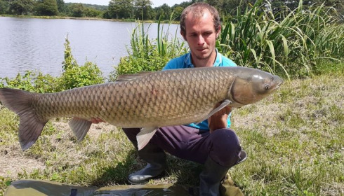 A carp from Ragon, Jun 2023