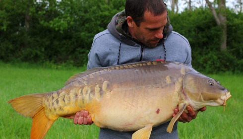 A carp from Ragon, May 2025