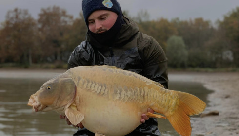 A carp from Ragon, Netting, Jan 2024