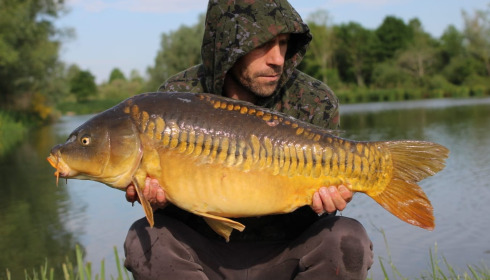 A carp from Ragon, May 2025